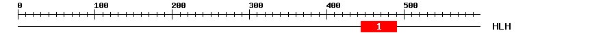 Signature Domain