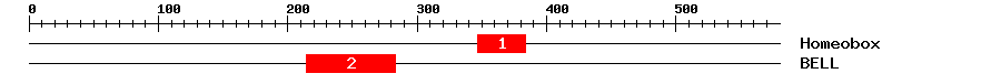 Signature Domain