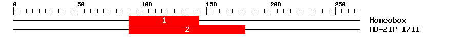 Signature Domain