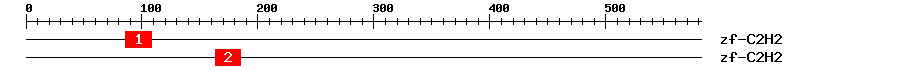 Signature Domain