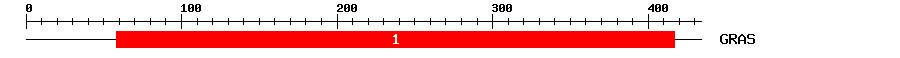 Signature Domain