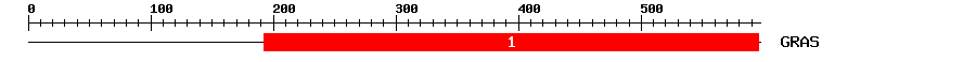 Signature Domain