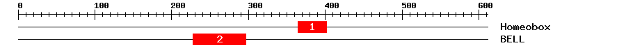 Signature Domain