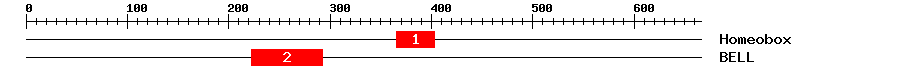 Signature Domain