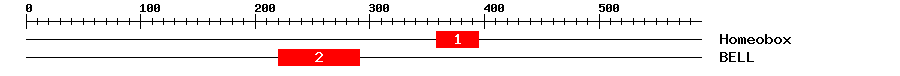 Signature Domain