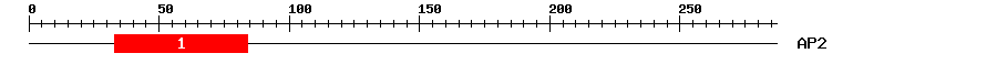 Signature Domain