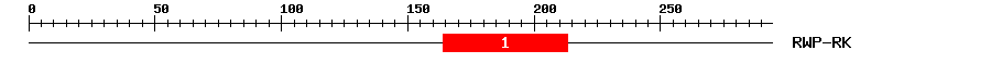 Signature Domain