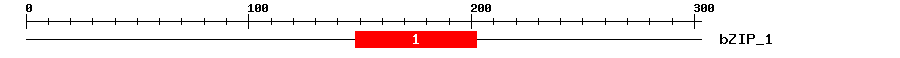 Signature Domain