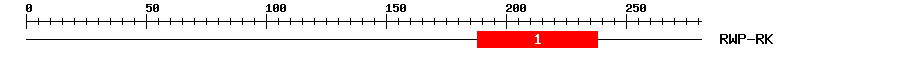 Signature Domain