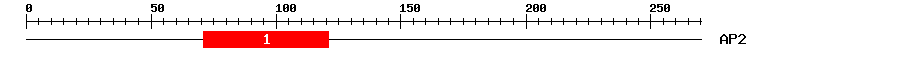 Signature Domain