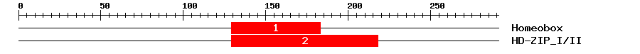 Signature Domain