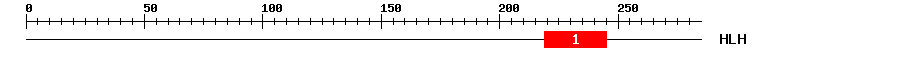 Signature Domain