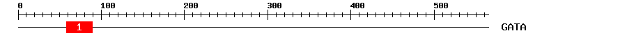 Signature Domain