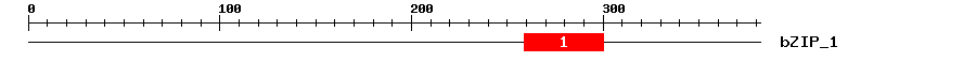 Signature Domain