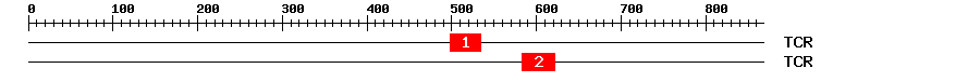 Signature Domain