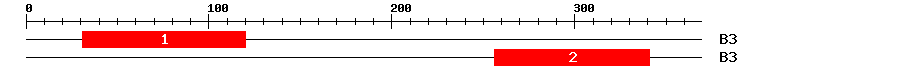 Signature Domain