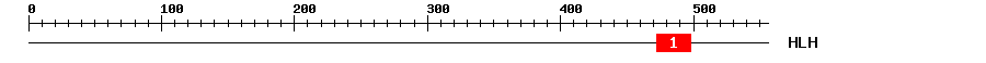 Signature Domain