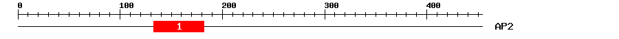 Signature Domain