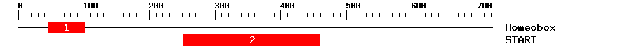 Signature Domain