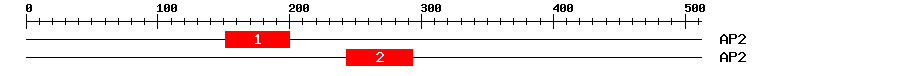 Signature Domain
