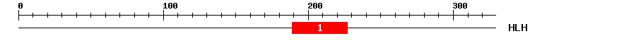 Signature Domain
