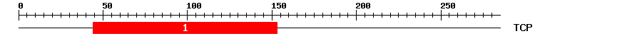 Signature Domain