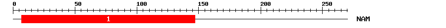 Signature Domain