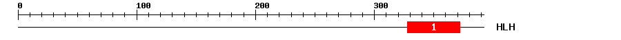 Signature Domain