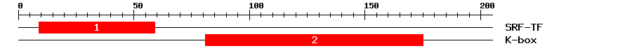 Signature Domain