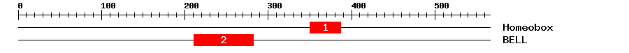 Signature Domain