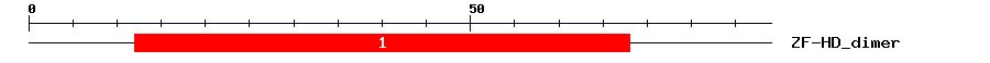 Signature Domain