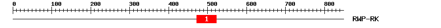 Signature Domain
