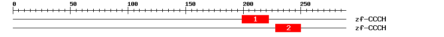 Signature Domain