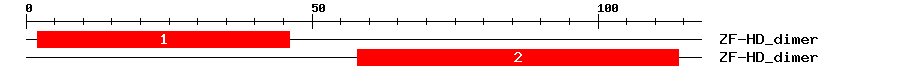 Signature Domain