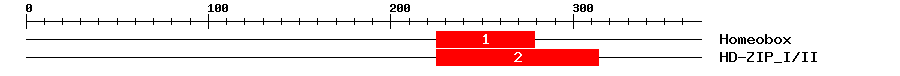 Signature Domain