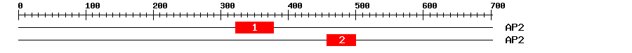 Signature Domain