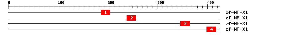 Signature Domain