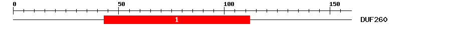 Signature Domain