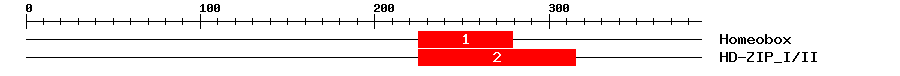 Signature Domain