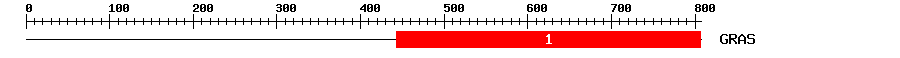 Signature Domain