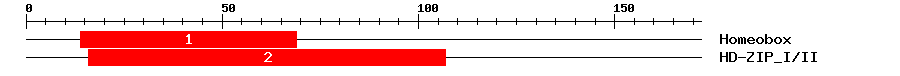 Signature Domain