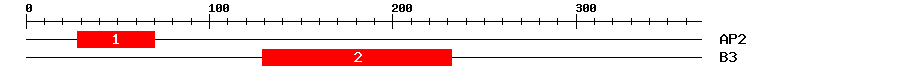 Signature Domain