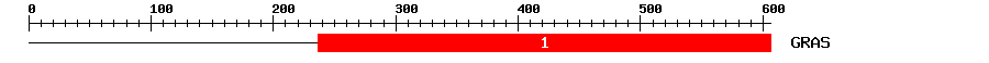 Signature Domain