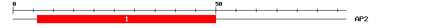 Signature Domain