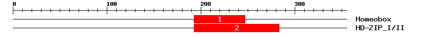 Signature Domain