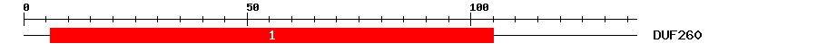 Signature Domain