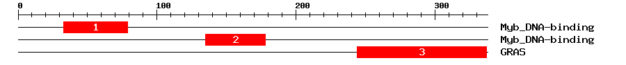 Signature Domain