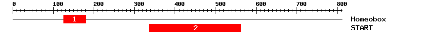 Signature Domain
