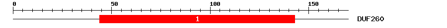 Signature Domain