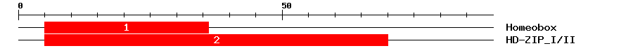 Signature Domain